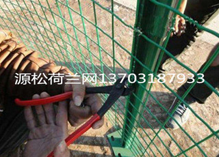 养殖荷兰网