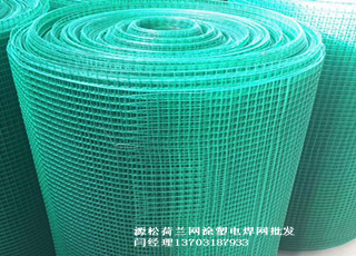 绿色铁丝网