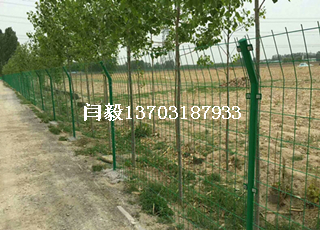 绿色圈地围栏网2