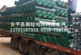 绿色铁丝网