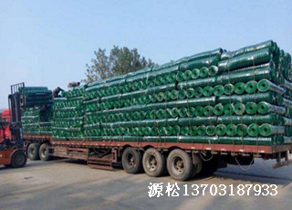 绿色塑料皮铁丝网2