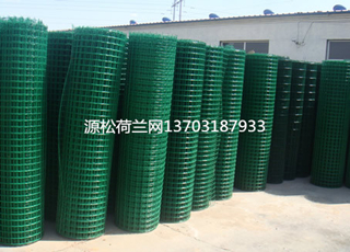 绿色塑料皮铁丝网4