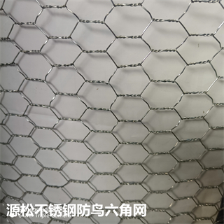 不锈钢防鸟网